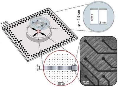 Modularity and neuronal heterogeneity: Two properties that influence in vitro neuropharmacological experiments